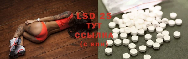 ГАЛЛЮЦИНОГЕННЫЕ ГРИБЫ Мегион