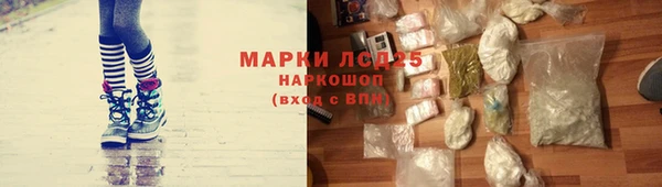 сатива Туринск