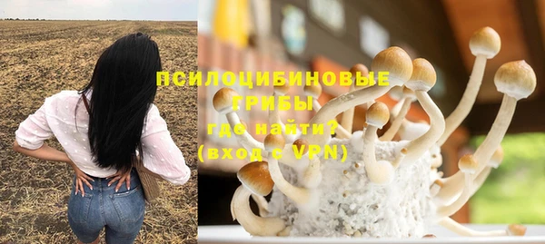 скорость Медвежьегорск
