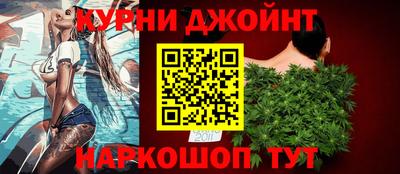 стаф Донской