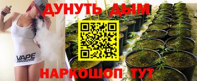 стаф Донской