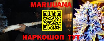 стаф Донской