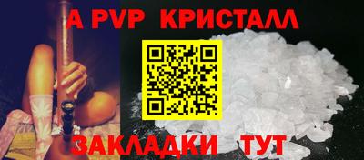 стаф Донской