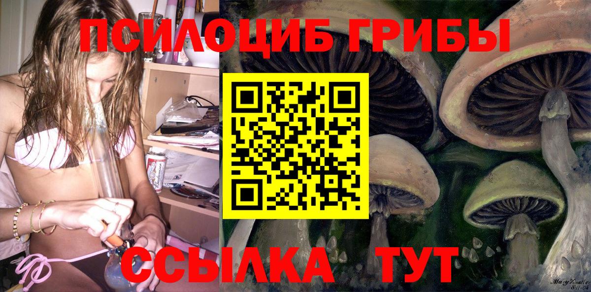 Псилоцибиновые грибы GOLDEN TEACHER  Мурино 