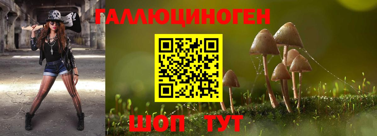 Псилоцибиновые грибы GOLDEN TEACHER Мурино